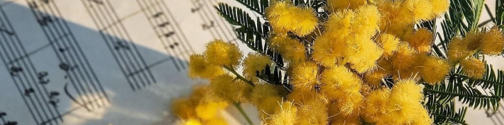 開催予定 2026初春 💐 勉強会(2026/2/22)